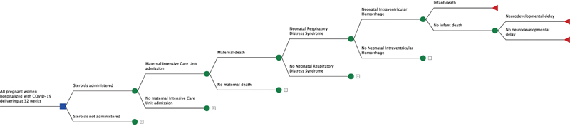 AntenatalCorticosteroidsforPregnantWomen-990000079e04513c.jpg