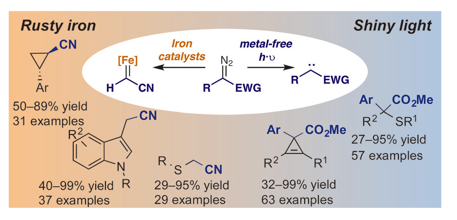 Sustainable Carbene-1.jpg