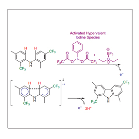 intramolecular.jpg