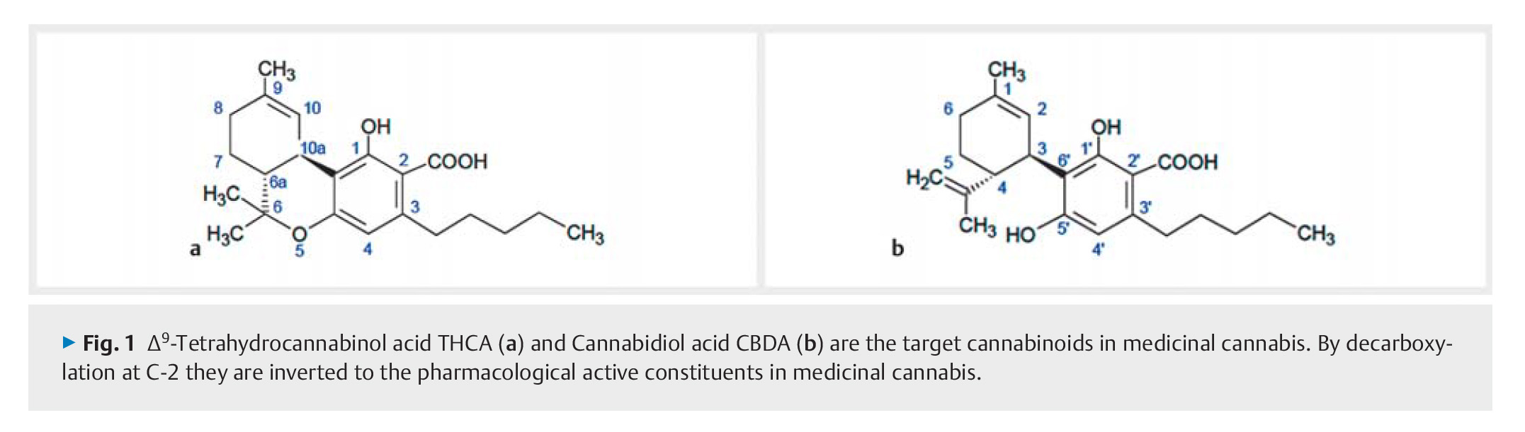 Quality Requirements for Medicinal Cannabis-3.jpg