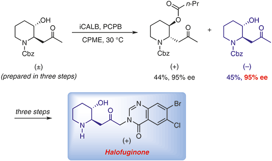 Enantiodivergent Synthesis.gif