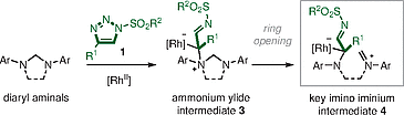 Rh(II)-Catalysed.gif