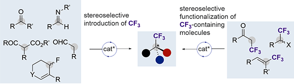 Catalytic Asymmetric Construction.gif