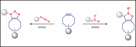 Applications of SPAAC and SPANC.jpg