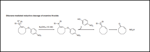 A Pair of Bioorthogonal.jpg