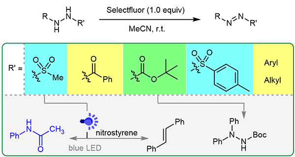 Selectfluor-Mediated.gif