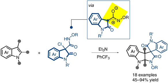 Construction of Spiropyrroloindolines.gif