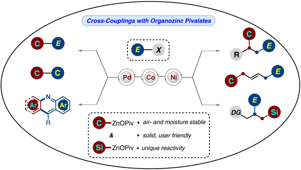 Versatile OPiv-Supported.gif