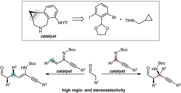 The Design and Synthesis.gif