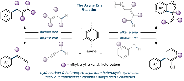 The Aryne Ene Reaction.gif