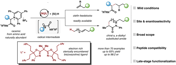 Enantioselective Alkylation.gif