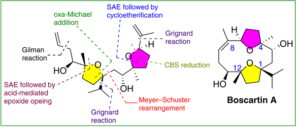 Stereoselective.gif