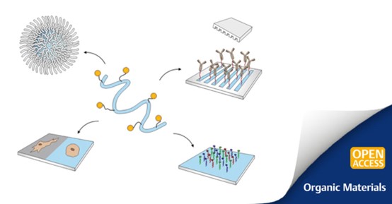 Functionalized Polyelectrolytes.jpg