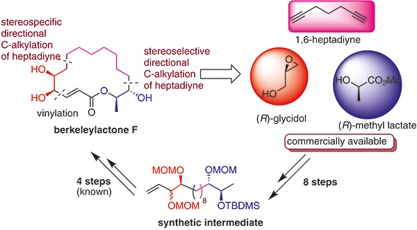 A Diastereoselective Synthetic.gif