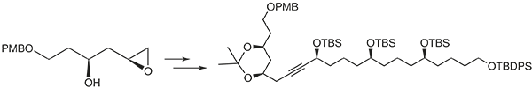 Stereoselective Synthesis.gif