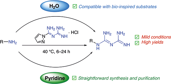 Mild Biamidine-Transfer.gif