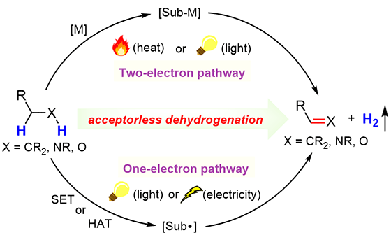 Acceptorless Dehydrogenation.gif