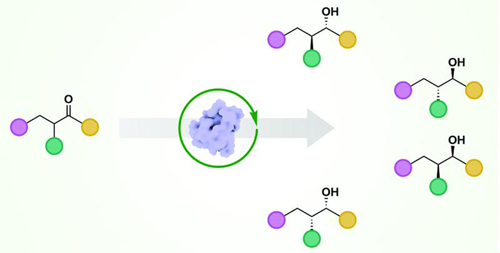 Enzyme- and Chemo.jpg