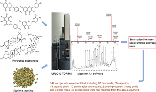 Structural Characterization of Chemical.jpg