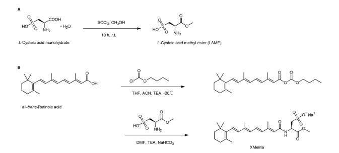 Novel Docetaxel-Loaded.jpg