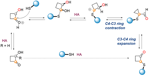 Insights into the Reactivity.gif