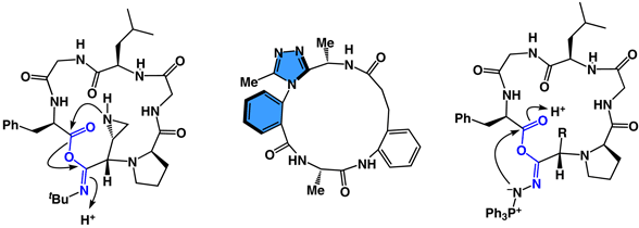 Synthetic Tools that Enable.gif