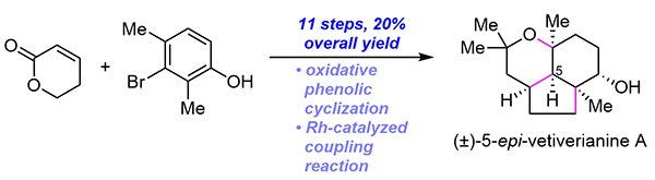 Synthesis of (±)-5-epi.gif