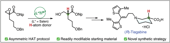 Enantioselective Synthesis.gif