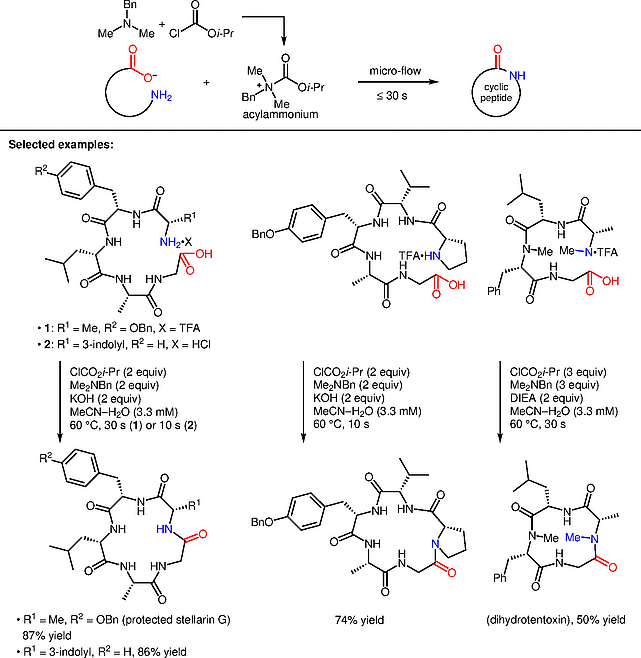 Efficient Method for Cyclic Peptide.gif