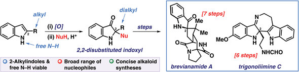 2,2-Disubstituted Indoxyls via Oxidative.gif