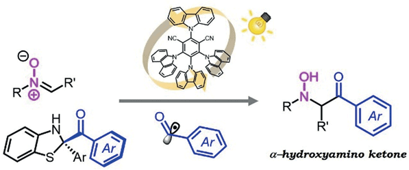 Metal- and Additive-Free Synthesis.gif