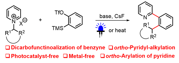 Direct 2-Pyridyl-Alkylation.gif