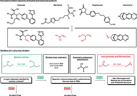 Identifying the Risk of Formation of Nitrosamines.gif