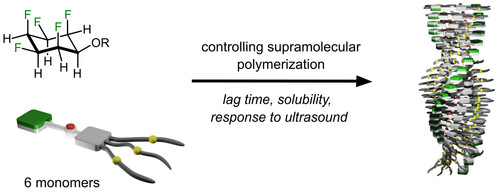 Supramolecular Polymerization of all.jpg