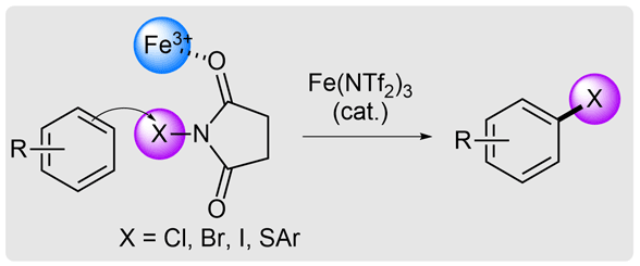 Regioselective Functionalization.gif