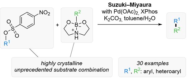 Suzuki–Miyaura Coupling of Aryl.gif