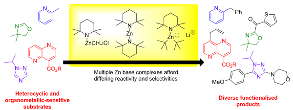 Zinc-Mediated C–H Metalations.gif