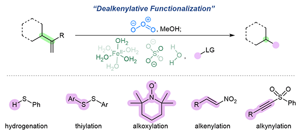 Dealkenylative Functionalizations.gif