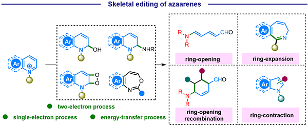 Recent Advances in the Dearomative Skeletal Editing of Mono-azaarenes.gif