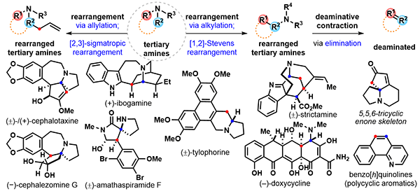 Recent Applications of Ammonium Ylide Based.gif