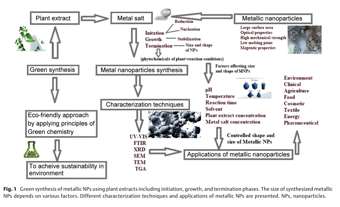 Factors Influencing the Green Synthesis.jpg