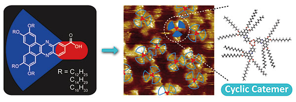 Hierarchical Supramolecular Nanostructures of Cyclic.jpg