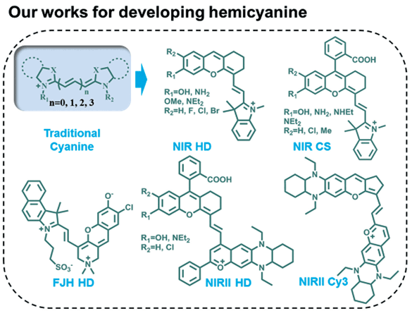 Near-Infrared Hemicyanine Fluorophores with.gif