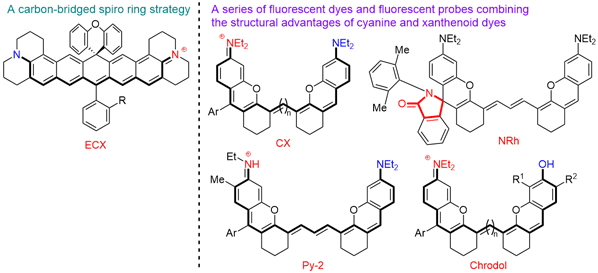 New High-Performance Fluorescent.gif