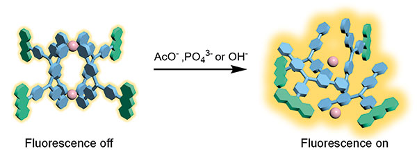 Anthracene-Functionalized Metallacage with.jpg