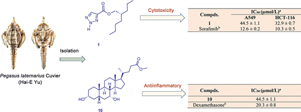 Chemical Constituents of the Marine.jpg