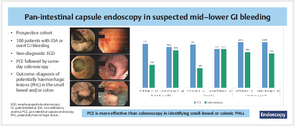 Pan-intestinal capsule endoscopy.jpg