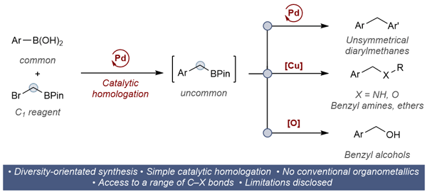 Pd-Catalyzed Homologation.gif