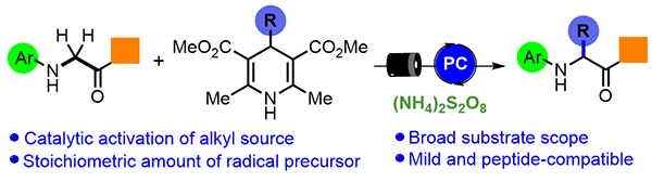 Photoredox-Catalyzed Oxidative.gif