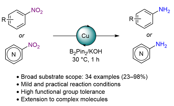 Copper-Catalyzed Chemoselective.gif